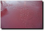PC263056.JPG