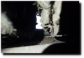 PC283261.JPG