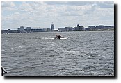 P4284785.JPG