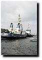 P8197887.JPG