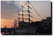 P8198159.JPG