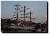 P8198168.JPG