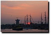 P8198175.JPG