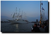 P8198177.JPG