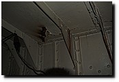 PB150786.JPG