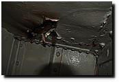 PB150787.JPG