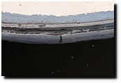PB150792.JPG