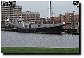 PB150815.JPG