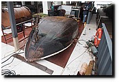 PC291246.JPG