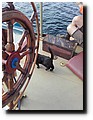 20160619_171735.jpg