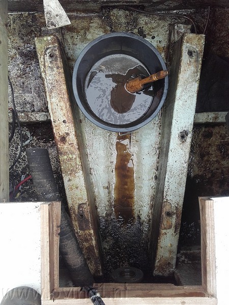 2017-04-03 14.12.07.jpg
Make: SAMSUNG
Model: SM-G388F
DateTime: 3-4-2017 14:12:07
EXIFImageWidth: 2592
ExifImageLength: 1944
Flash: No flash, auto mode
ISOSpeedRatings: ISO 50
ShutterSpeedValue:  1/224 sec
ApertureValue: F2,2
FocalLength: 3,31 mm