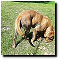 2017-06-18 11.27.42.jpg