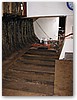 IMG_8855.JPG