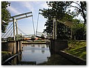 P7250044.JPG