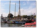 IMG_8953.JPG