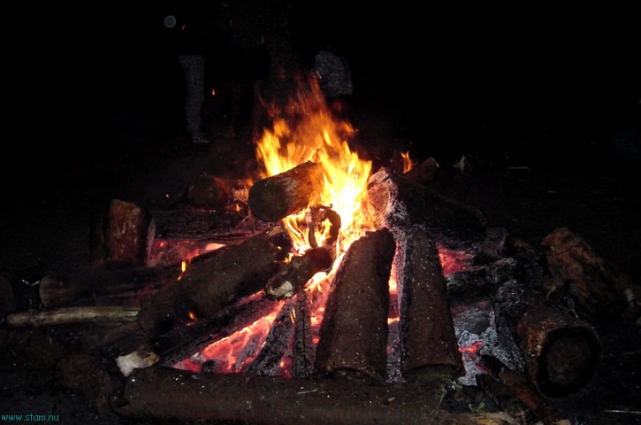 DSC00440.JPG