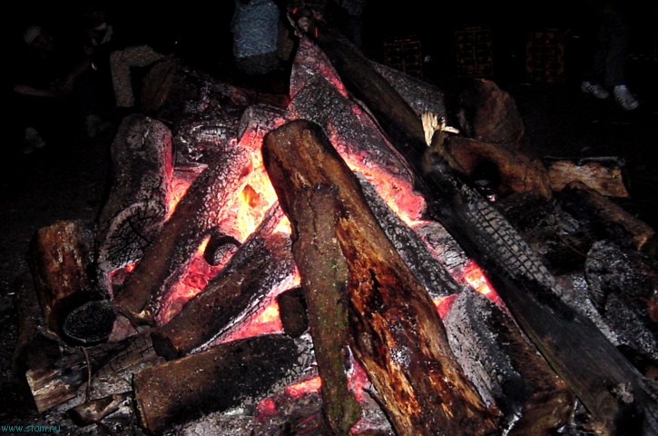 DSC00472.JPG