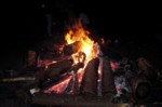 DSC00440.JPG