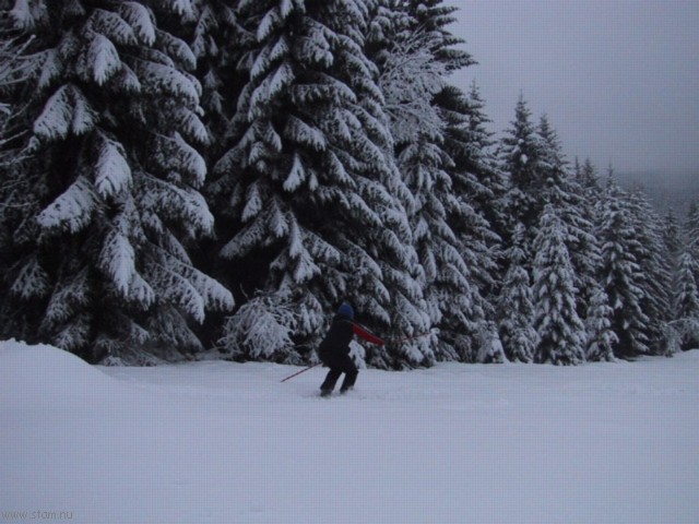 IMG_0397.JPG