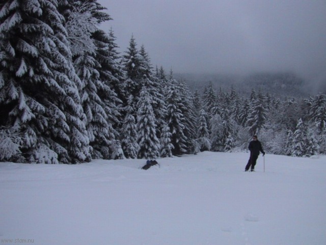 IMG_0400.JPG