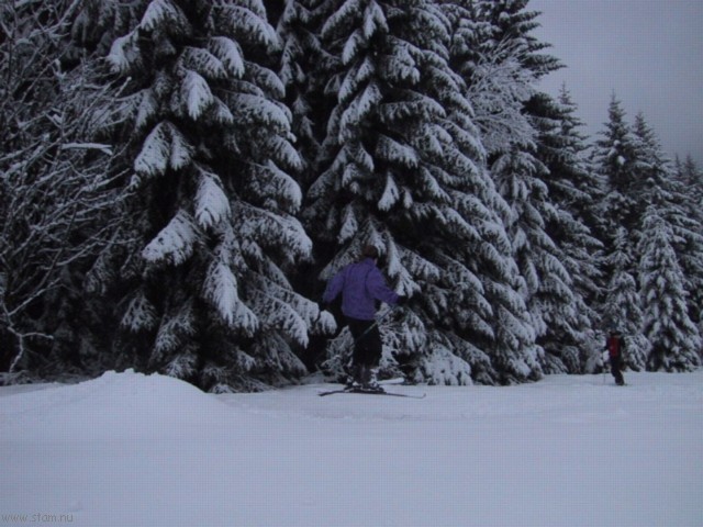 IMG_0429.JPG