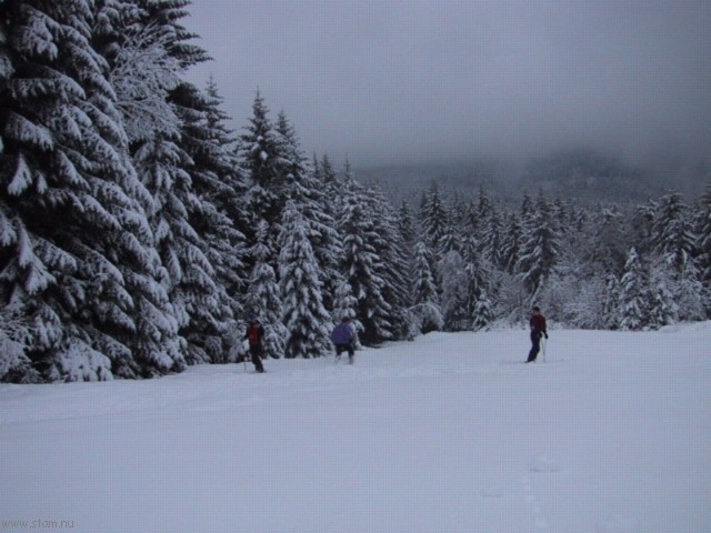 IMG_0434.JPG