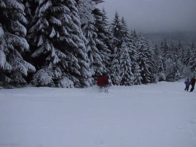 IMG_0445.JPG
