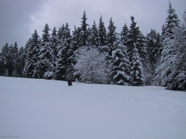 IMG_0448.JPG