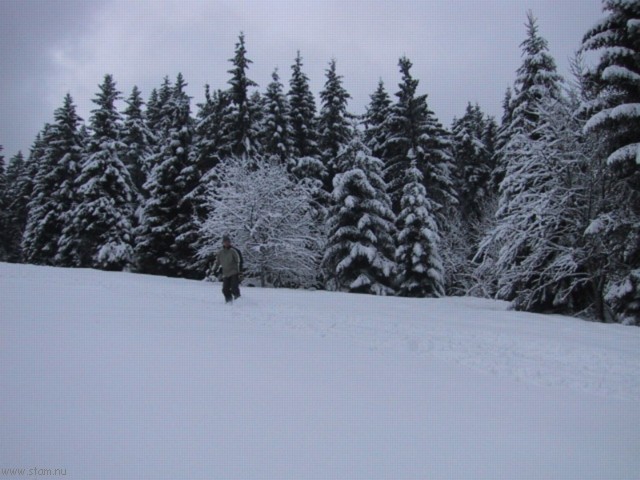 IMG_0449.JPG