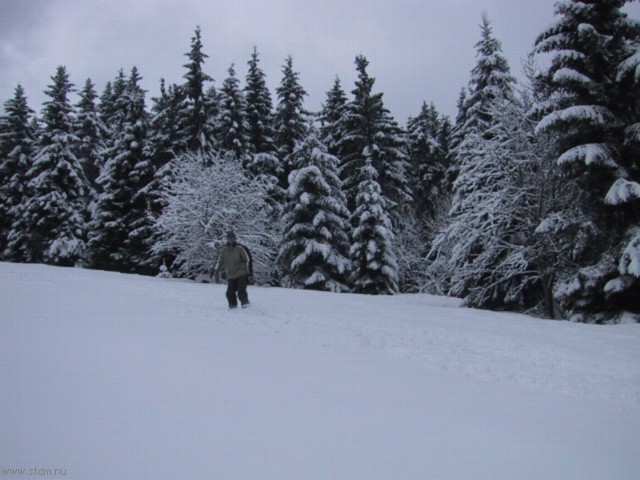 IMG_0450.JPG