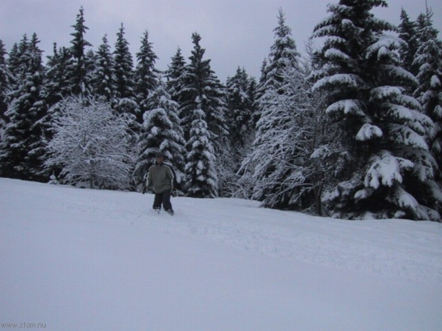 IMG_0451.JPG