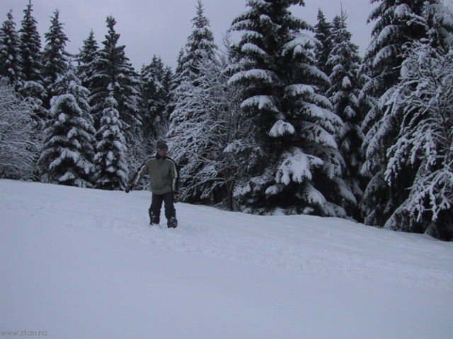 IMG_0452.JPG