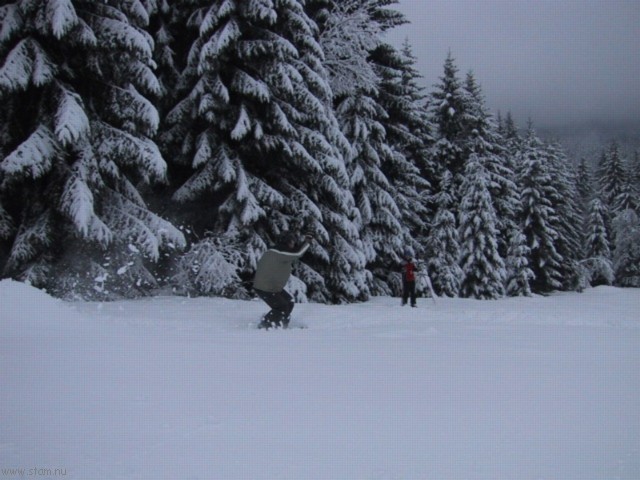 IMG_0456.JPG