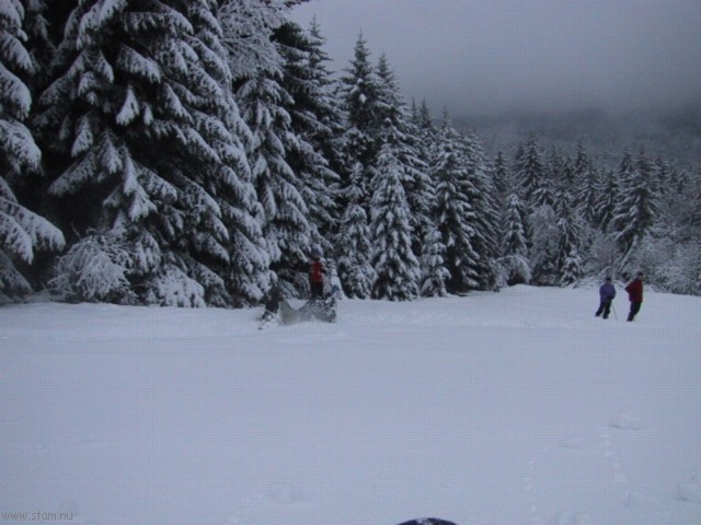 IMG_0457.JPG