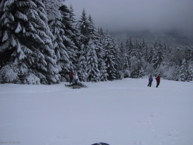 IMG_0458.JPG
