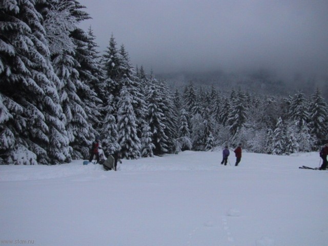 IMG_0461.JPG