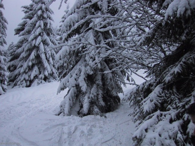 IMG_0465.JPG