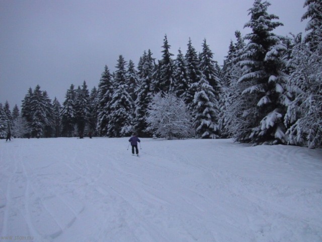 IMG_0504.JPG