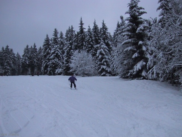 IMG_0505.JPG