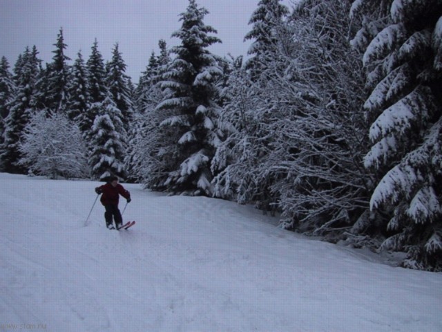 IMG_0527.JPG