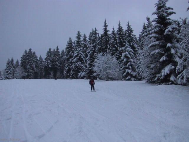 IMG_0539.JPG