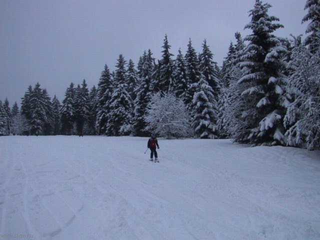 IMG_0540.JPG