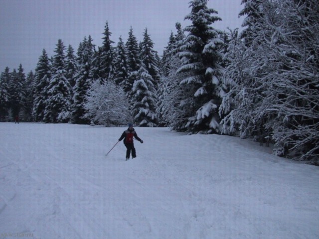 IMG_0542.JPG