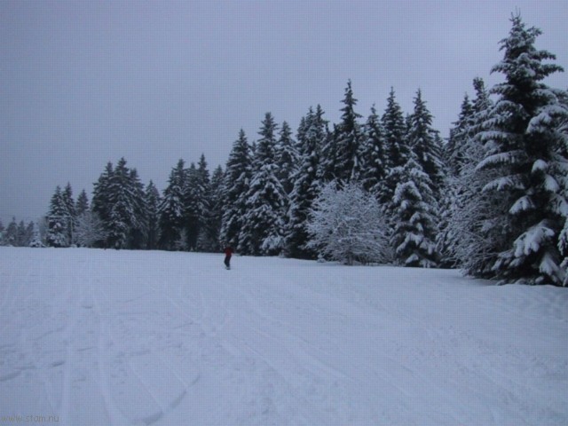 IMG_0549.JPG