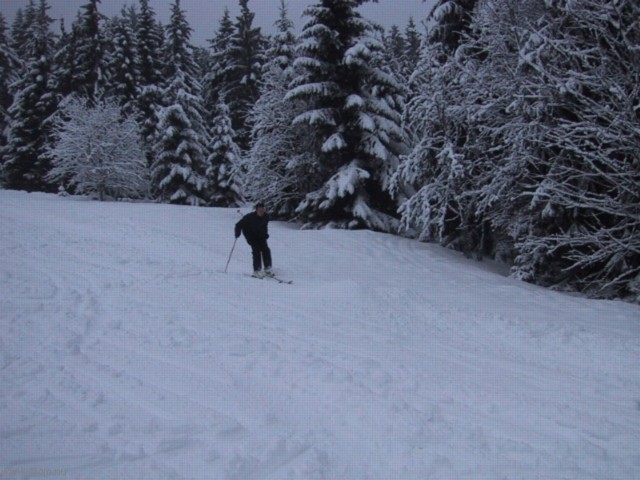 IMG_0621.JPG