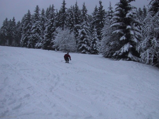 IMG_0633.JPG