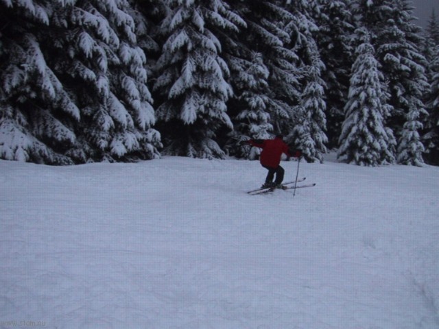 IMG_0639.JPG