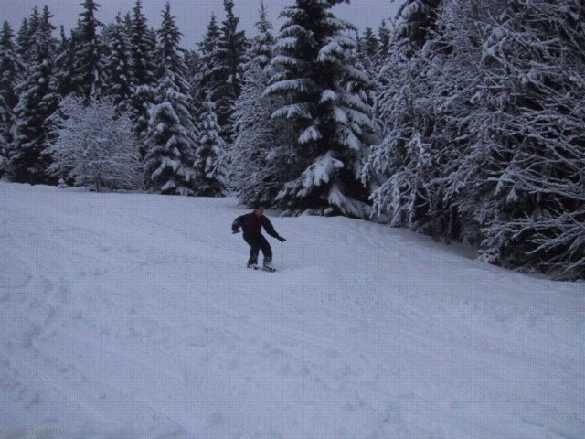 IMG_0653.JPG