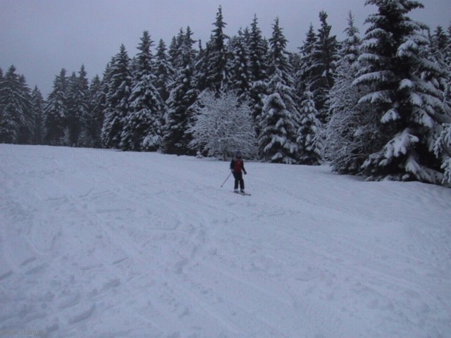 IMG_0659.JPG