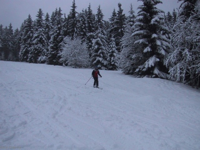 IMG_0660.JPG
